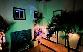 Tribe Inn Jungle & Flamingo