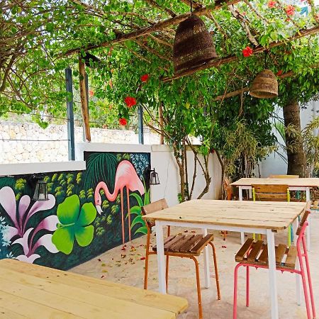 Tribe Inn Jungle & Flamingo Bayahibe Exterior photo
