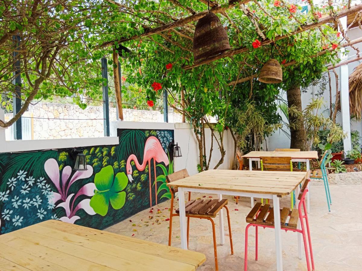 Tribe Inn Jungle & Flamingo Bayahibe Exterior photo